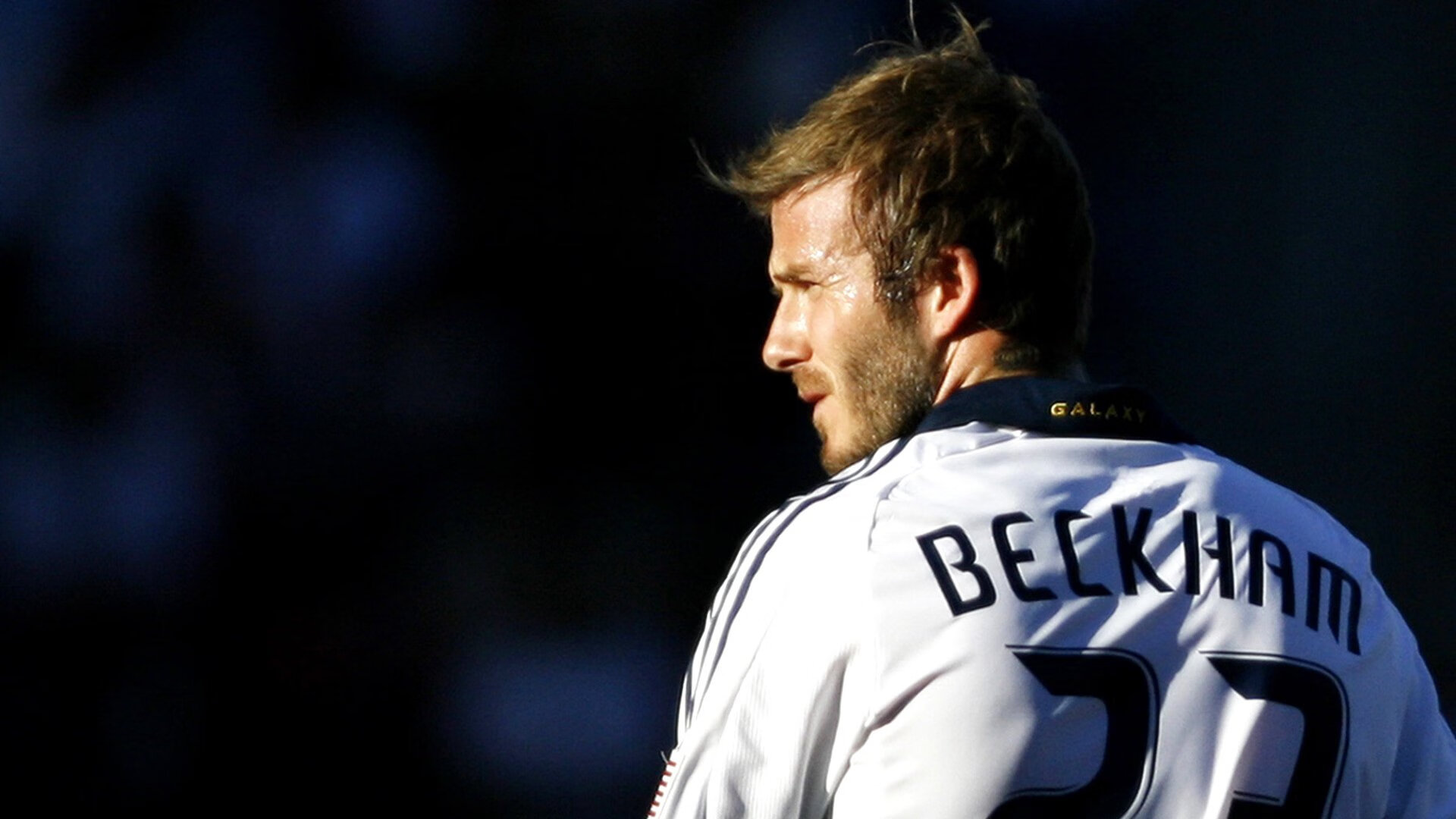 公牛核心球员个人集锦登上热搜,公牛队核心